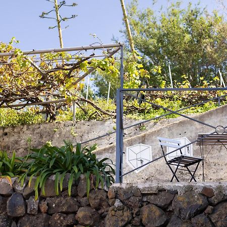 Ek Las Vistas Finca El Milagro 라오로타바 외부 사진