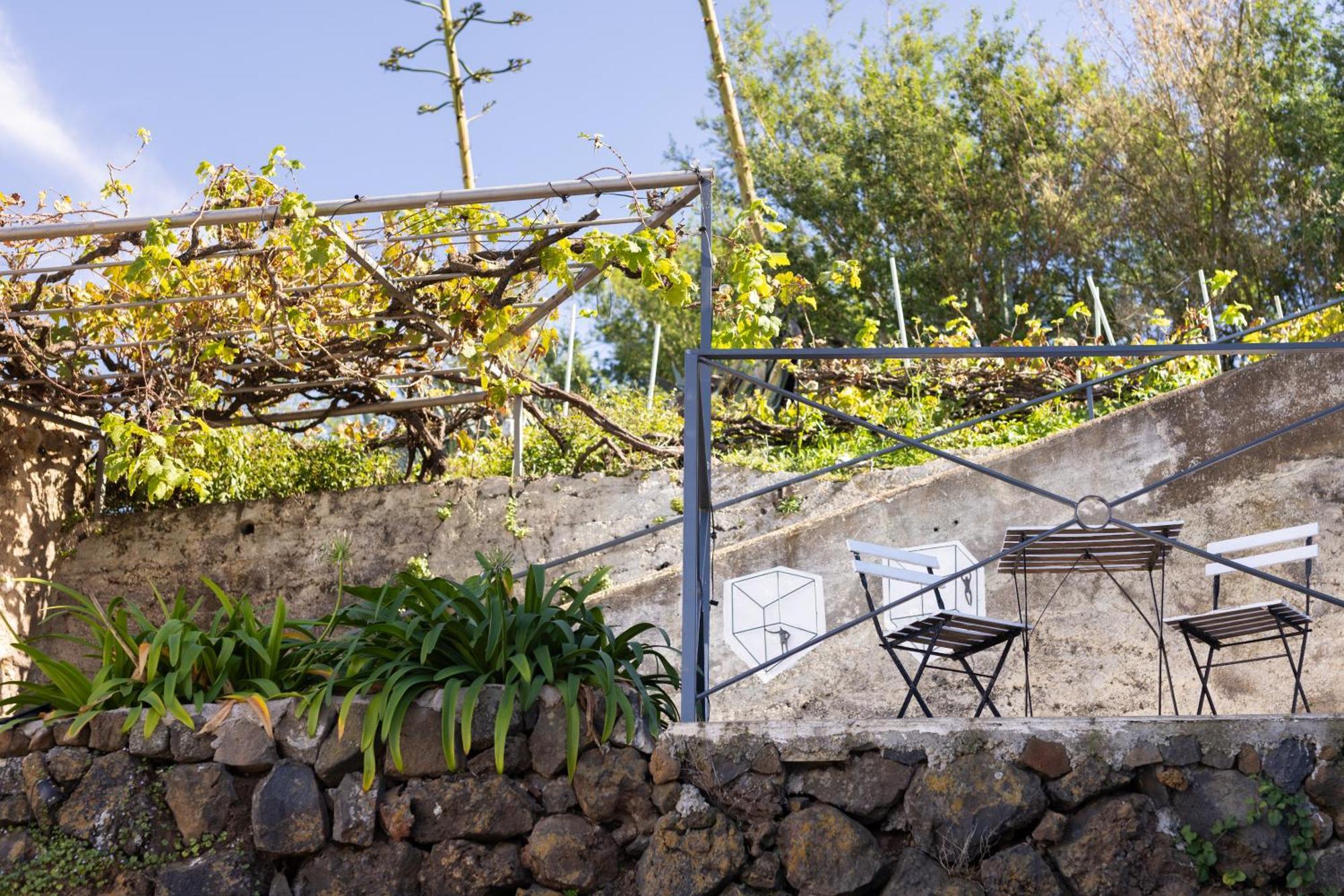 Ek Las Vistas Finca El Milagro 라오로타바 외부 사진