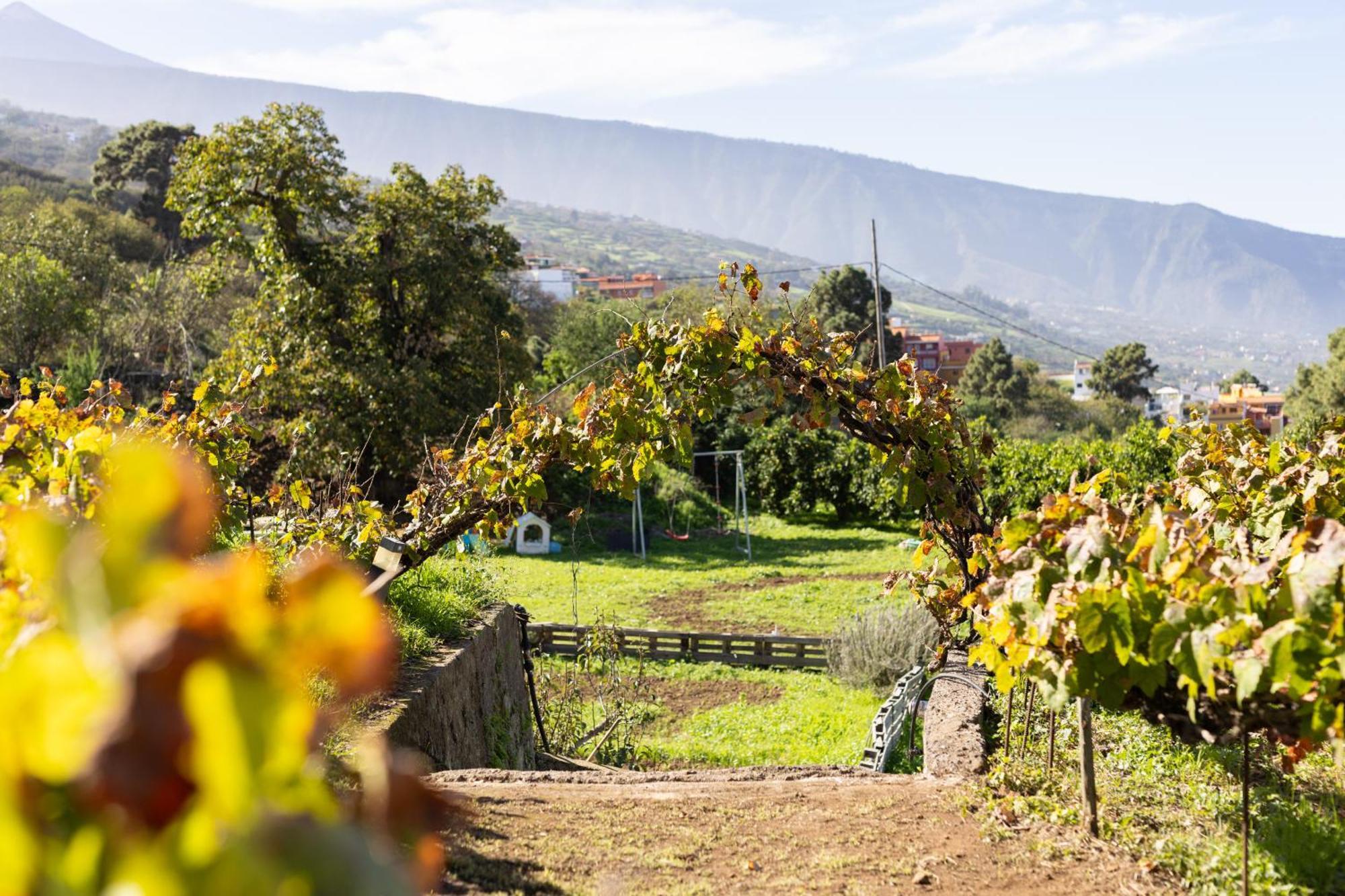 Ek Las Vistas Finca El Milagro 라오로타바 외부 사진