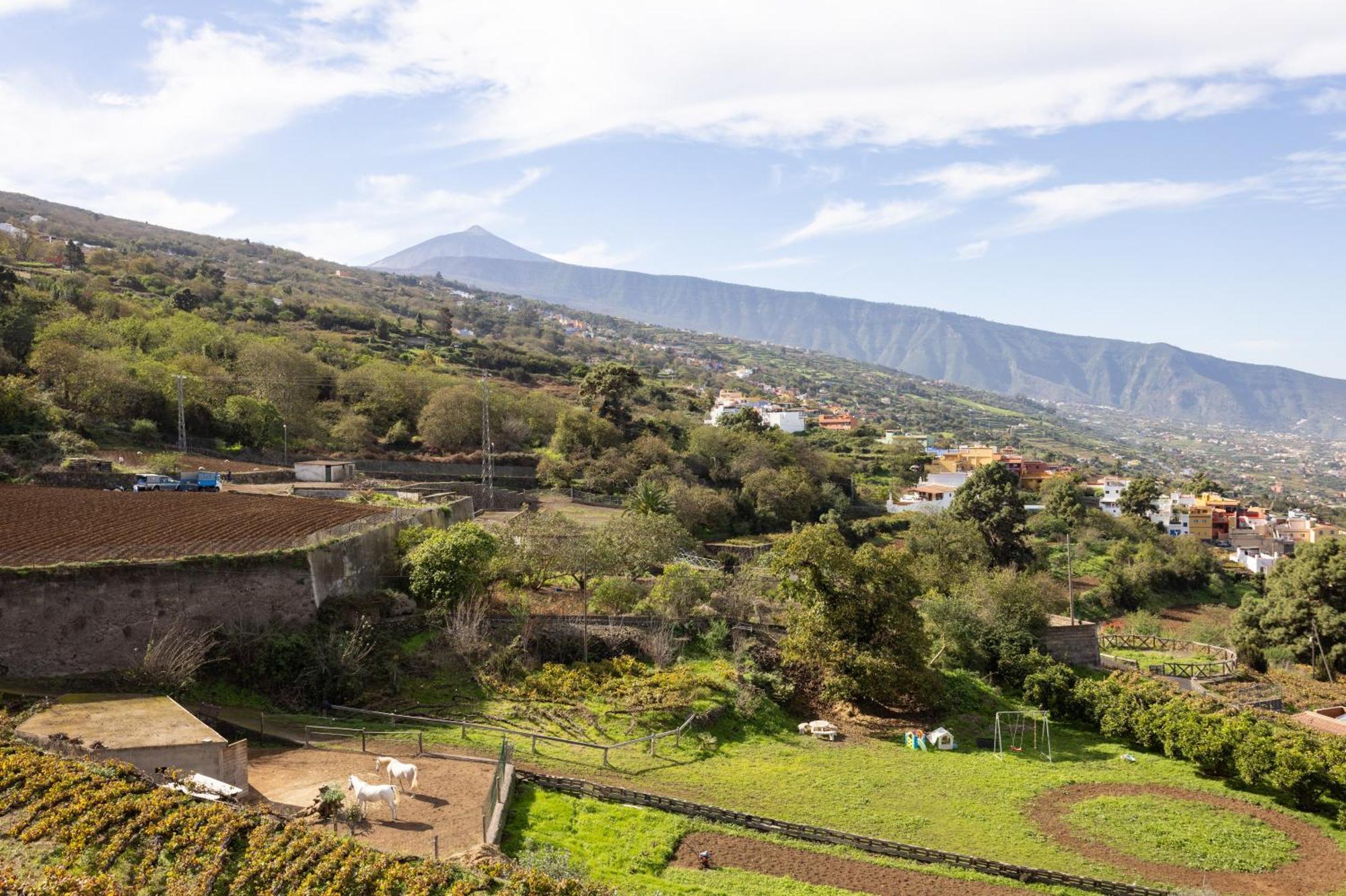Ek Las Vistas Finca El Milagro 라오로타바 외부 사진