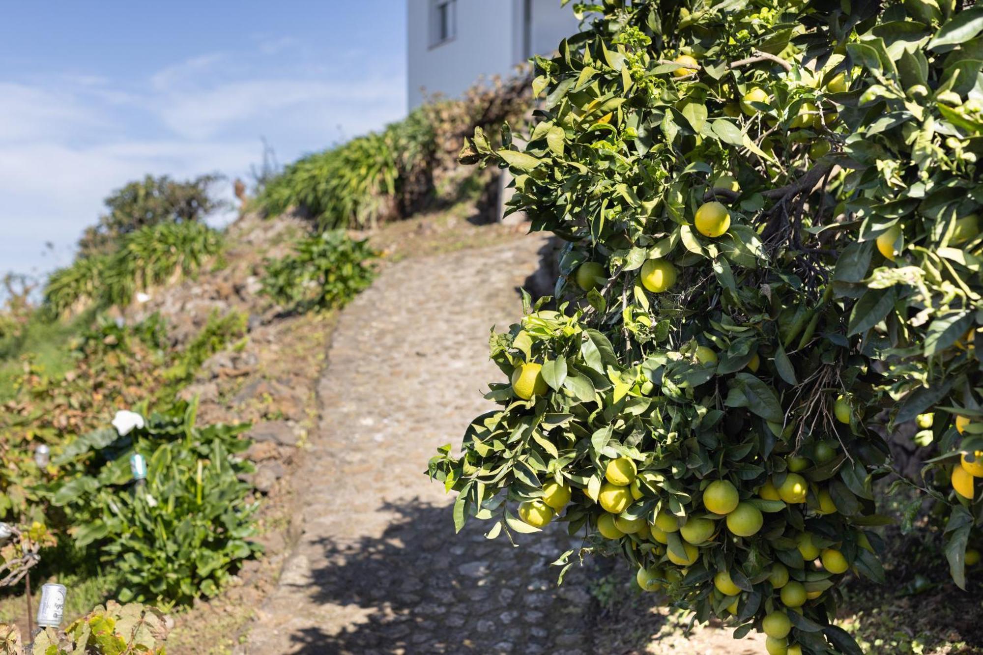 Ek Las Vistas Finca El Milagro 라오로타바 외부 사진