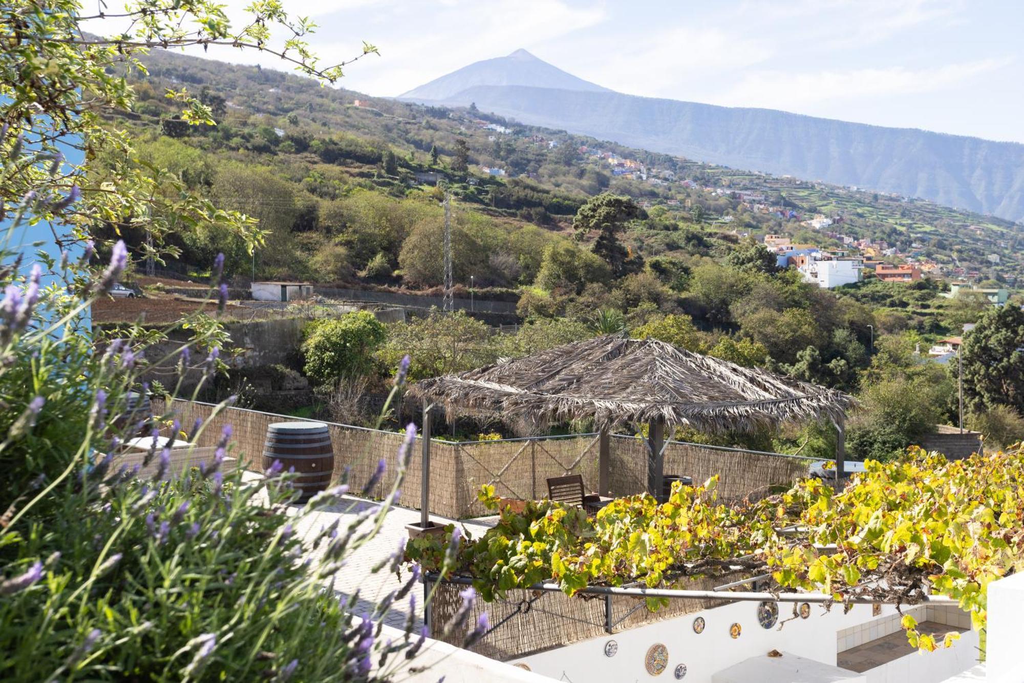 Ek Las Vistas Finca El Milagro 라오로타바 외부 사진